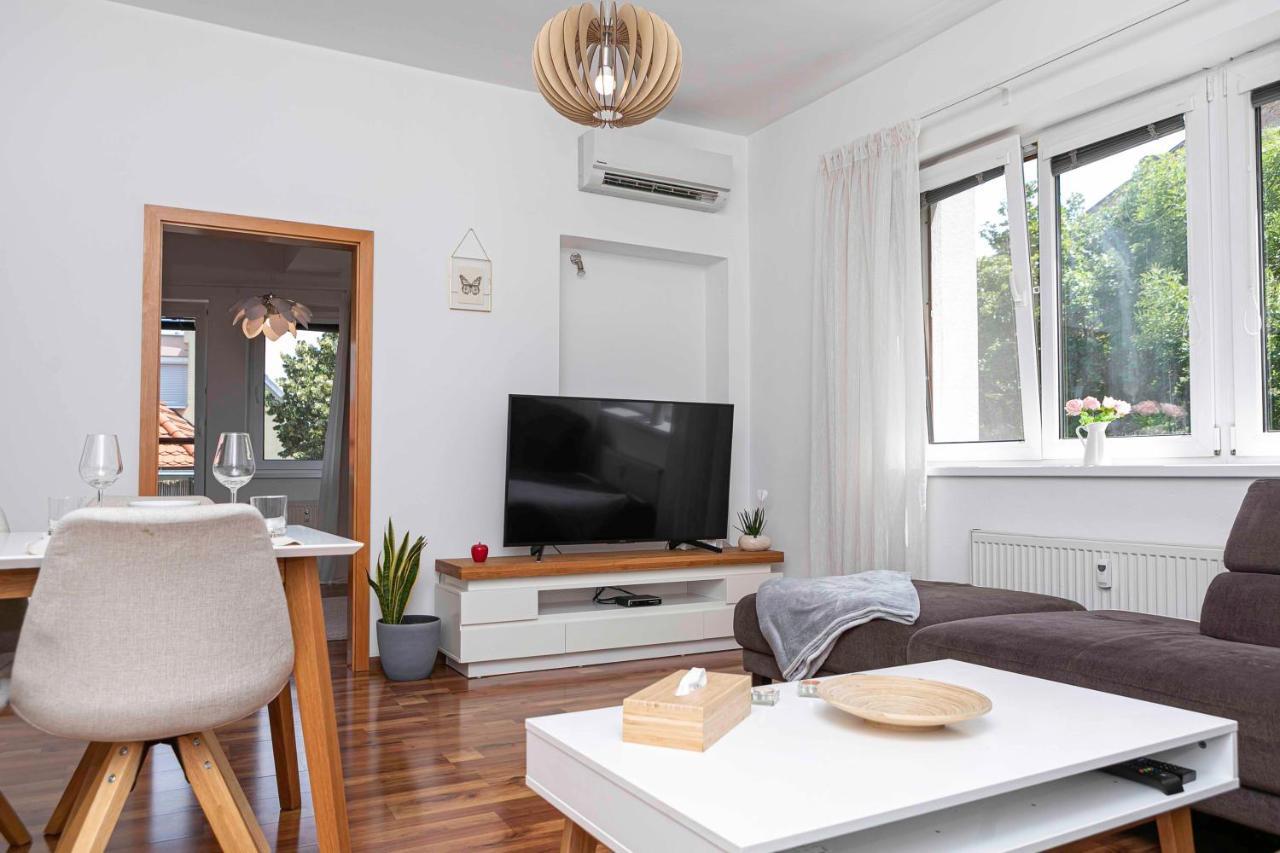 Castle View Apartment With Free Parking 布拉迪斯拉发 外观 照片