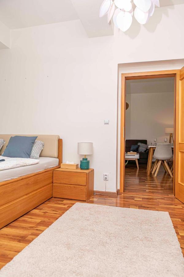 Castle View Apartment With Free Parking 布拉迪斯拉发 外观 照片